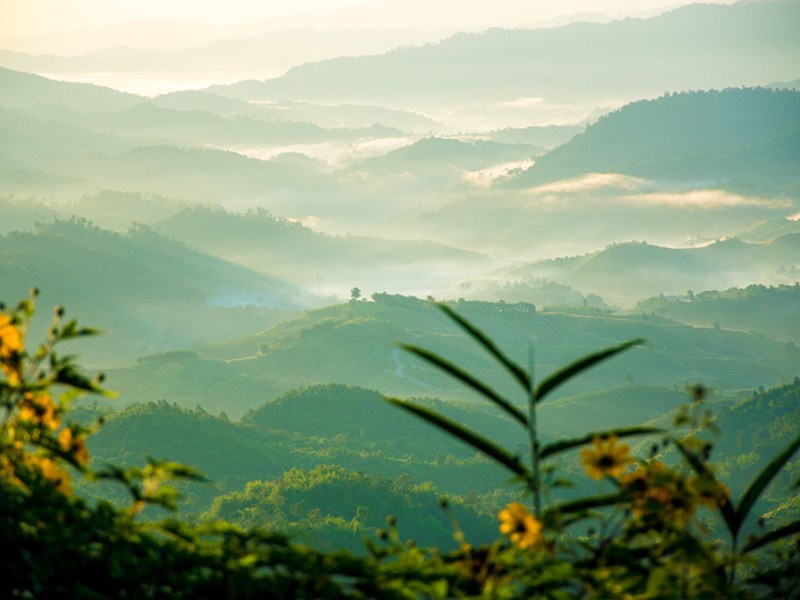 3 objets zen à avoir au bureau pour lutter contre le stress et trouver l&rsquo;inspiration