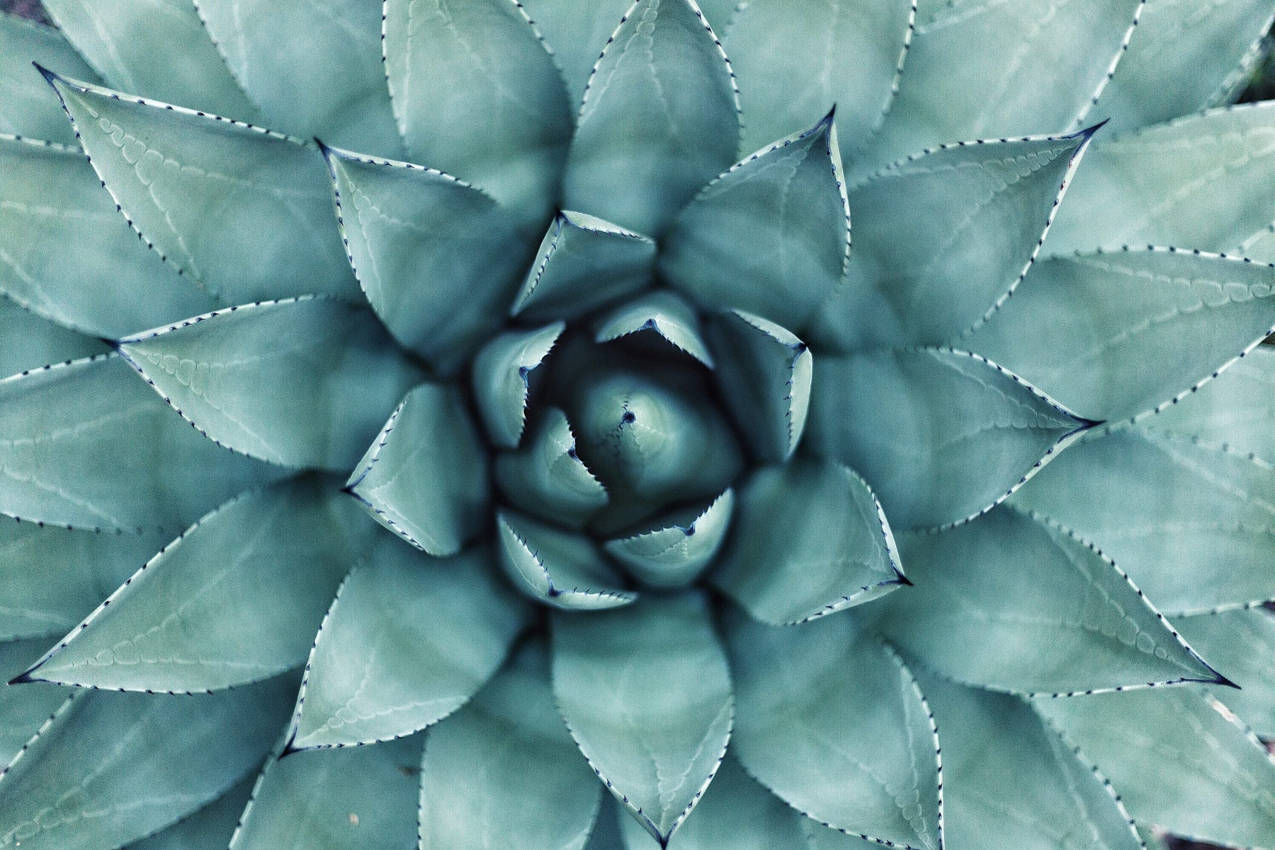 3 blogs inspirants à connaître absolument !