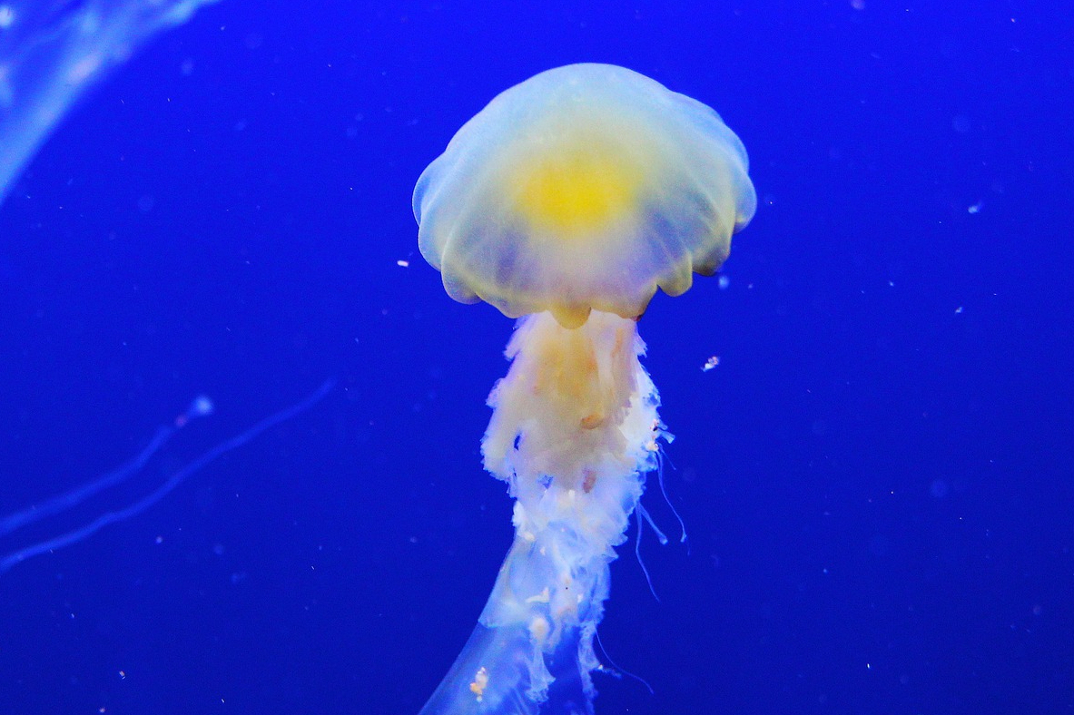 Leçon de philosophie pour les angoissés