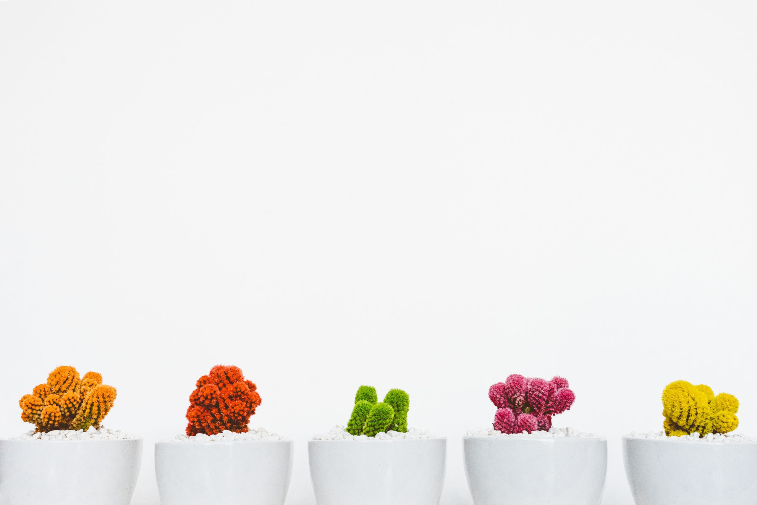 Comment les aveugles s&rsquo;imaginent les couleurs ?