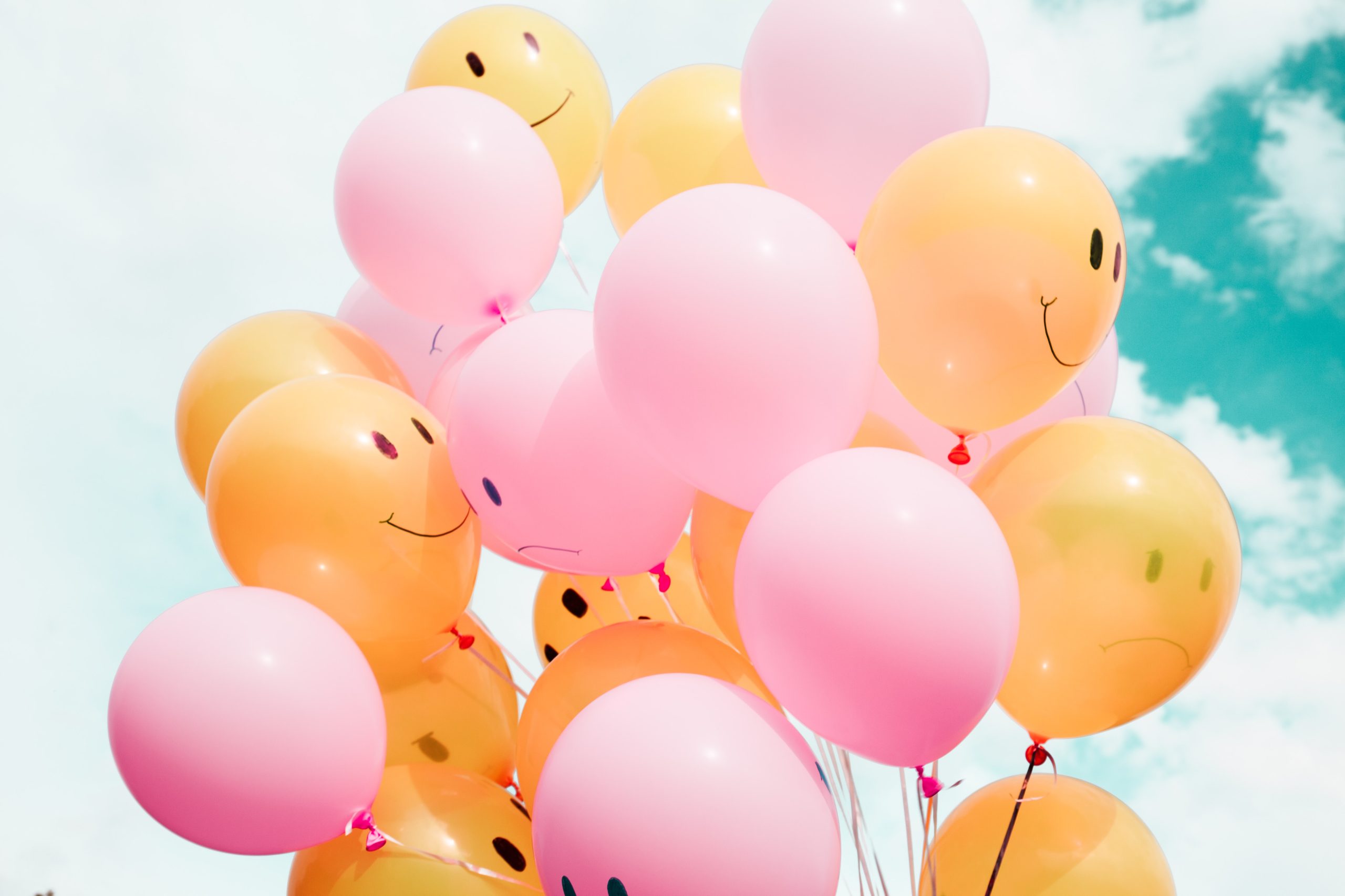 Quelques images et vidéos pour vous donner le sourire