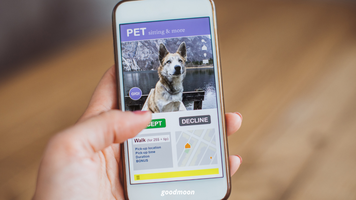 Les “calm apps” pour animaux : comment apaiser votre chien ou chat avec la technologie