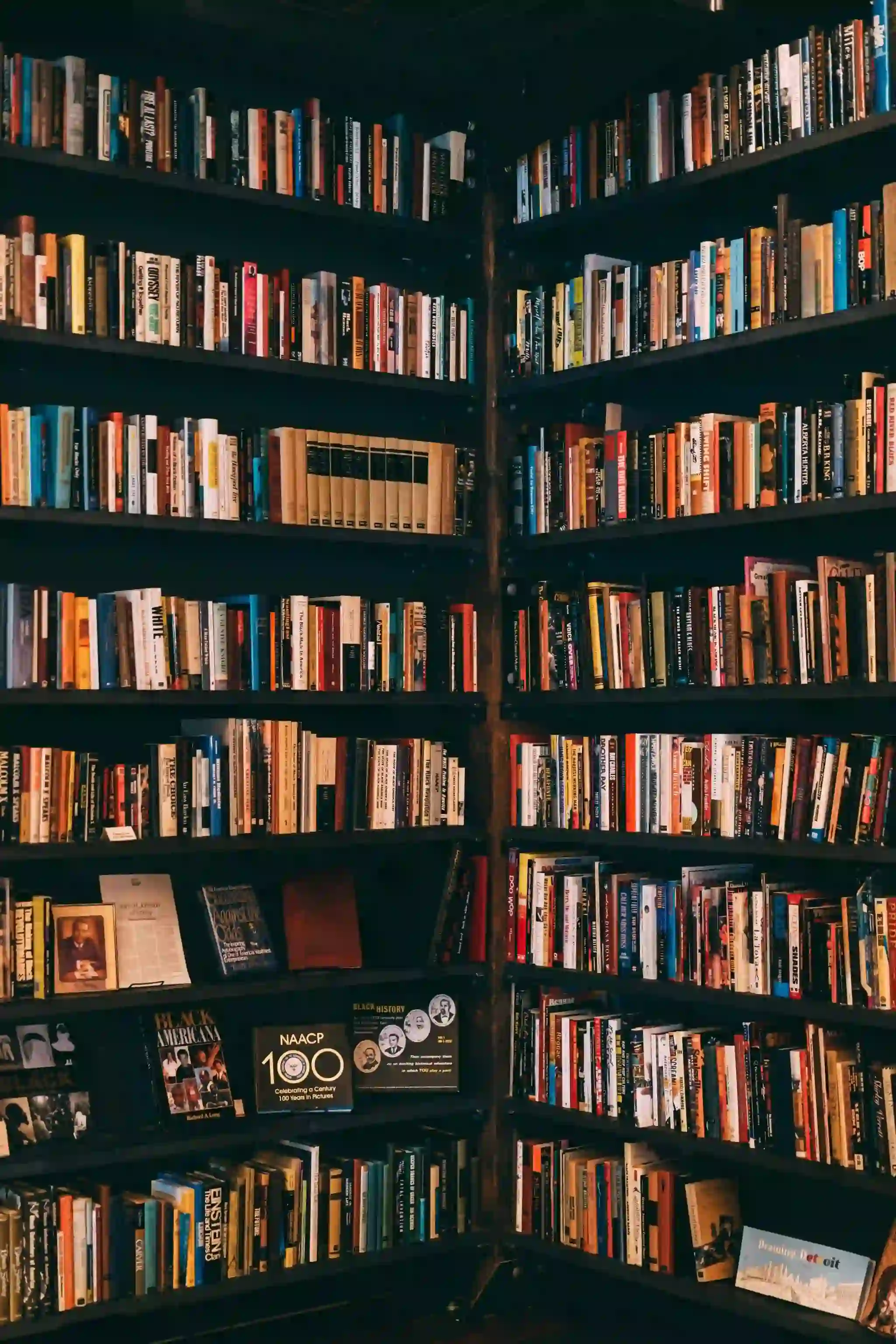 Défi 100 livres à lire – Année 6 : Romans du XXe siècle et contemporains