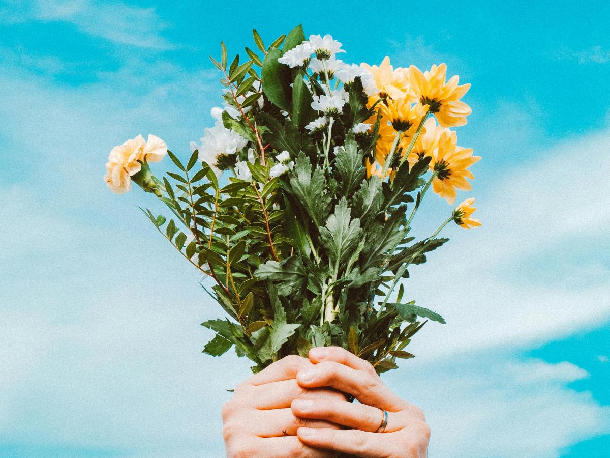 L&rsquo;énergie des 4 saisons : Harmonisez votre vie au rythme de la&nbsp;nature