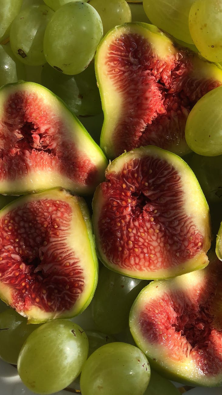 Jardin et balcon : Que cultiver sur son balcon au printemps ?&nbsp;🌱🌞