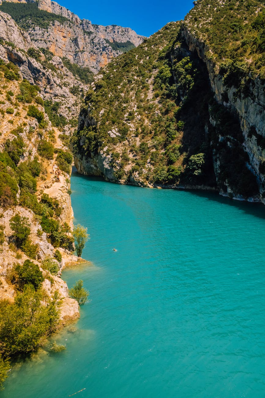 Les meilleures destinations nature en France pour un printemps ressourçant 🌿🌸