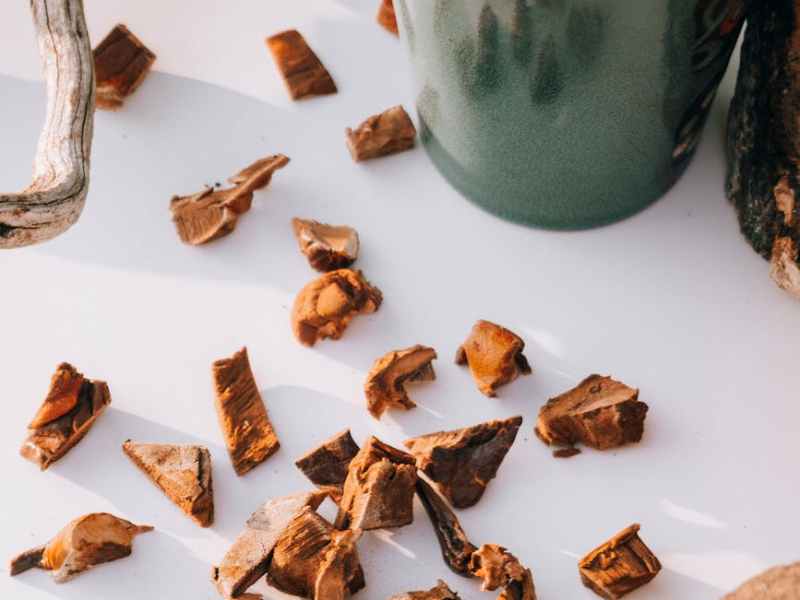 Les champignons adaptogènes : mycothérapie et clarté mentale au&nbsp;naturel