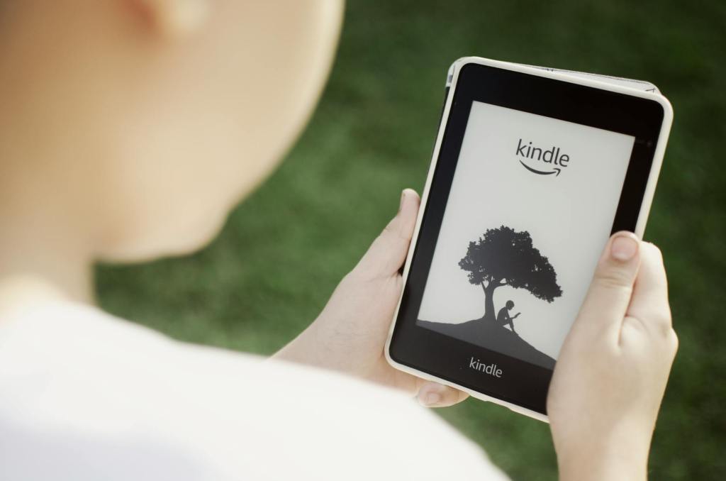 Kindle Unlimited vs 1001 Ebooks : Laquelle offre le plus de livres gratuits en 2025 ?&nbsp;🆓📚