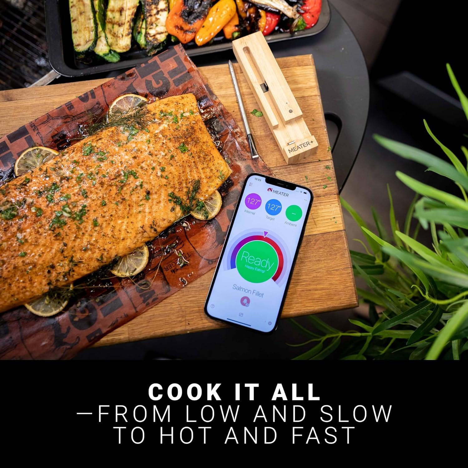 Meater Plus vs. ThermoPro TP25 : quel thermomètre connecté pour des barbecues parfaits en 2026 ? 🔥🍗