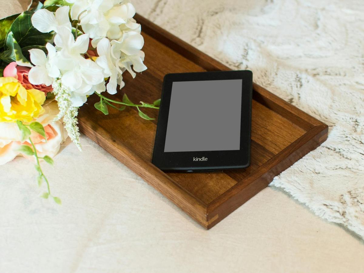 Kobo ou Kindle avis – Guide complet pour choisir la meilleure liseuse en&nbsp;2026