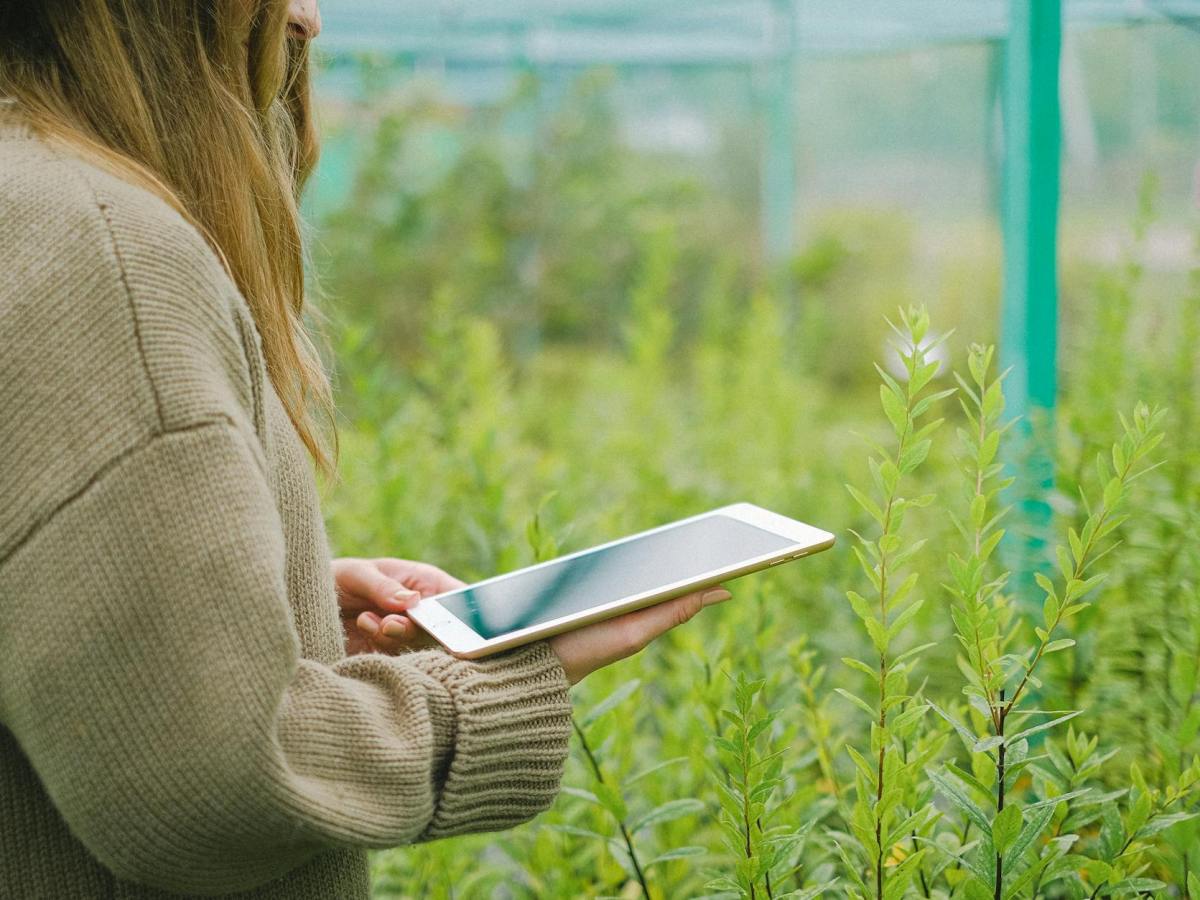 Ferme des animaux Georges Orwell : comment le récupérer gratuitement en France&nbsp;?