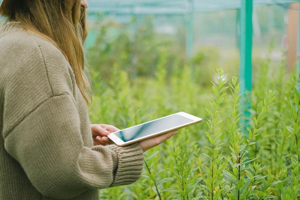 Ferme des animaux Georges Orwell : comment le récupérer gratuitement en France&nbsp;?