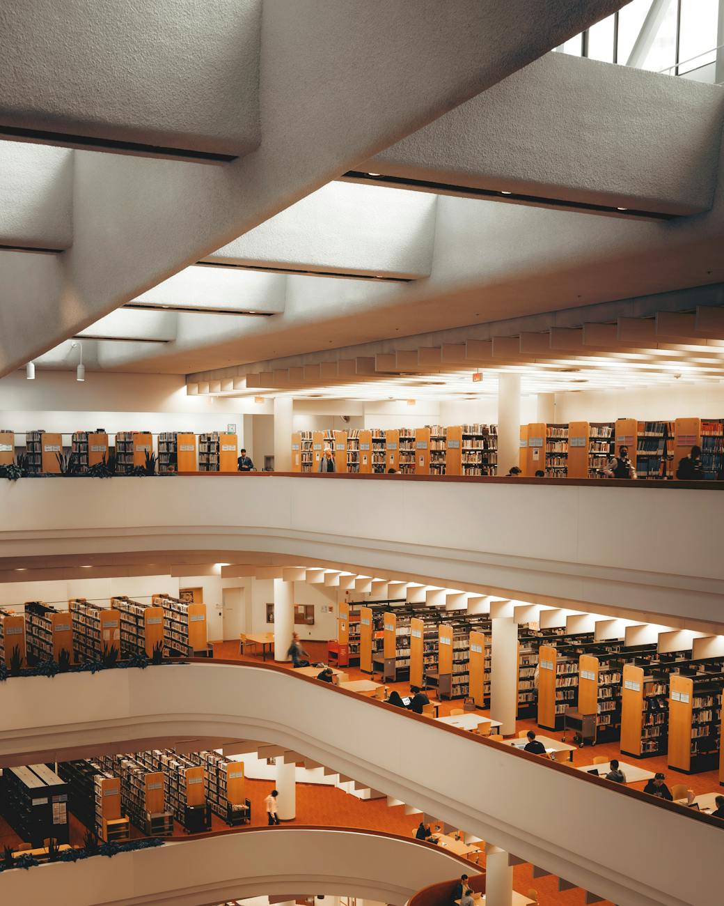 BiblioAccess : comment accéder facilement à des ressources numériques et bibliothèques en ligne